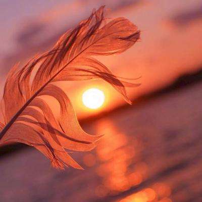 pg娱乐电子游戏下载手机版