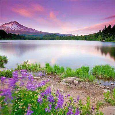 PG电子游戏官网入口